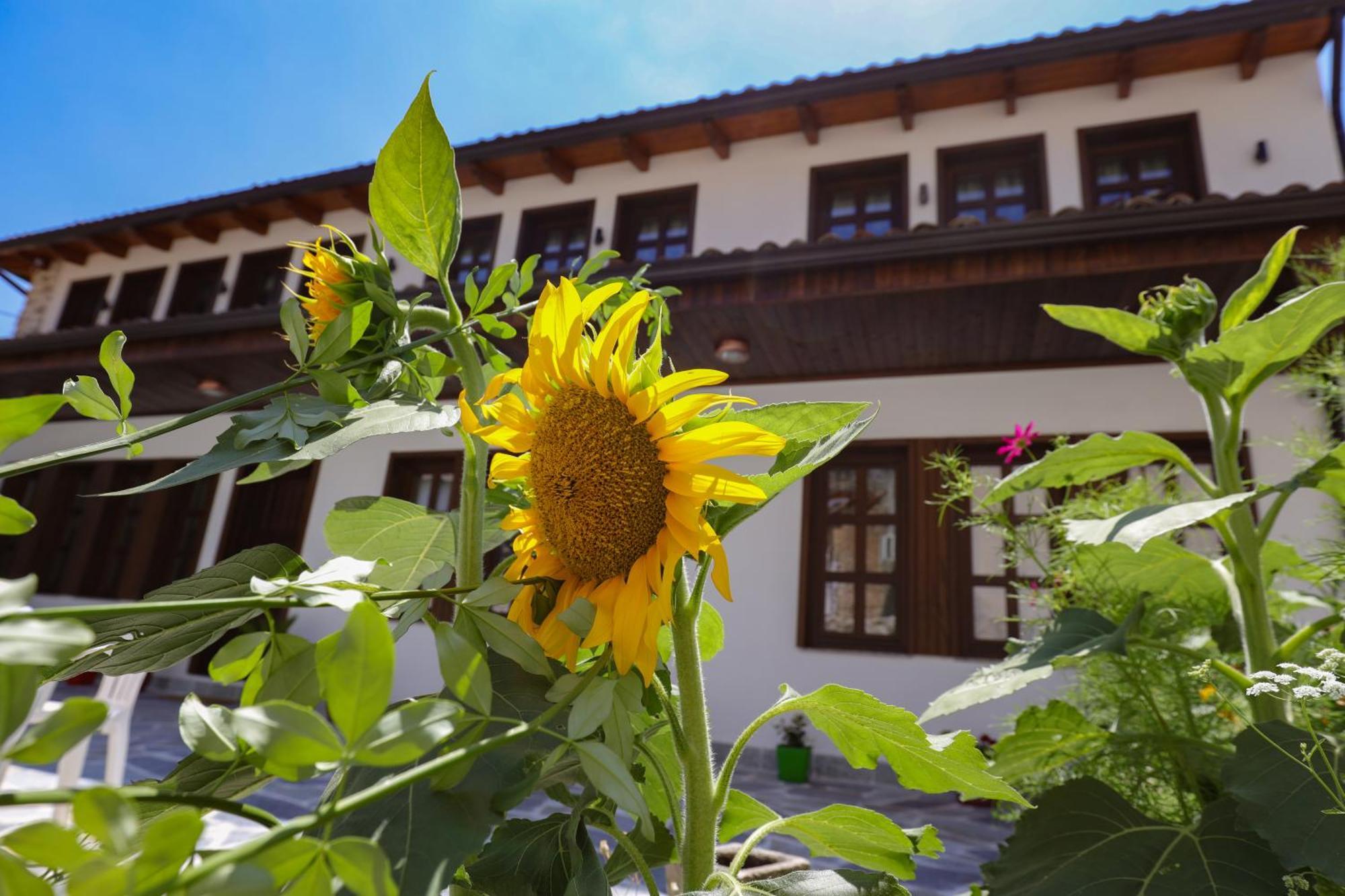 The House Of Dollma , Inside Kruja Castle Hotel Ngoại thất bức ảnh
